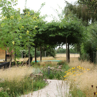 Tuin